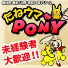 たねウマPONY求人情報